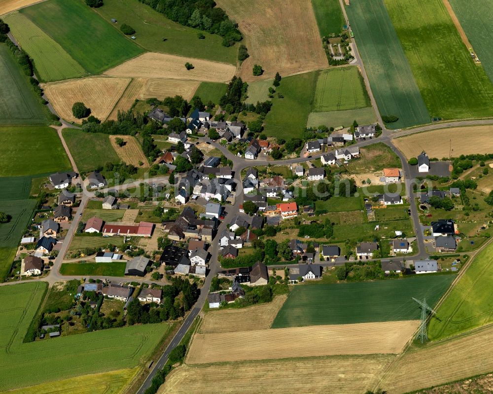 Eulgem from the bird's eye view: View of Eulgem in the state of Rhineland-Palatinate. The borough and municipiality is located in the county district of Cochem-Zell on the edge of the Eifel Region. Eulgem is surrounded by agricultural land, meadows and forest