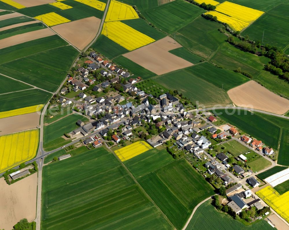 Aerial photograph Gappenach - View of Gappenach in the state of Rhineland-Palatinate. The agricultural borough and municipiality is located in the county district of Mayen-Koblenz and surrounded by meadows and rapeseed fields. Gappenach is located in the Niedermaifelder Senke region and includes five hamlets