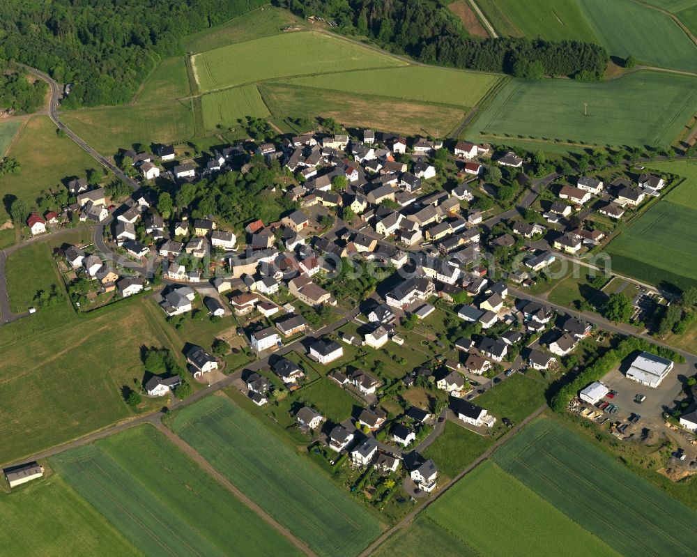 Gutenacker from the bird's eye view: View of the borough of Gutenacker in the state of Rhineland-Palatinate. The borough and municipiality is located in the county district of Rhine-Lahn. The agricultural village consists of residential buildings and areas, sits in the Western Taunus mountain range and is surrounded by meadows and fields