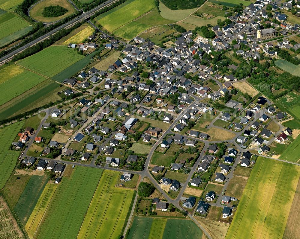 Hambuch from the bird's eye view: View of Hambuch in the state of Rhineland-Palatinate. The borough and municipiality is located in the county district of Cochem-Zell on the edge of the Eifel Region. Hambuch is surrounded by agricultural land and meadows and is located close to the federal motorway A48