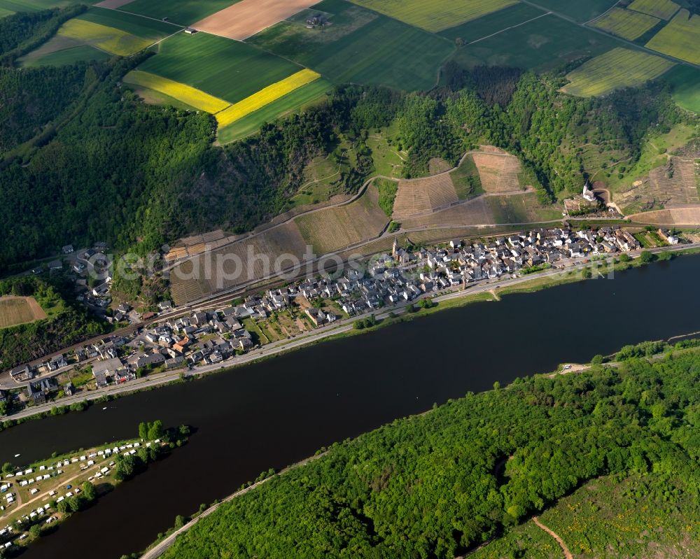 Hatzenport from the bird's eye view: View of Hatzenport in the state of Rhineland-Palatinate. The borough and municipiality is located in the county district of Mayen-Koblenz on the left riverbank of the river Moselle, surrounded by hills and vineyards. An island sits in the river in front of Hatzenport