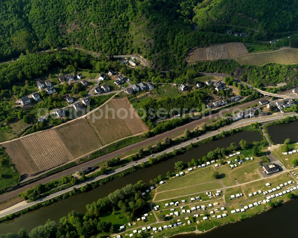 Aerial image Hatzenport - View of Hatzenport in the state of Rhineland-Palatinate. The borough and municipiality is located in the county district of Mayen-Koblenz on the left riverbank of the river Moselle, surrounded by hills and vineyards. An island sits in the river in front of Hatzenport