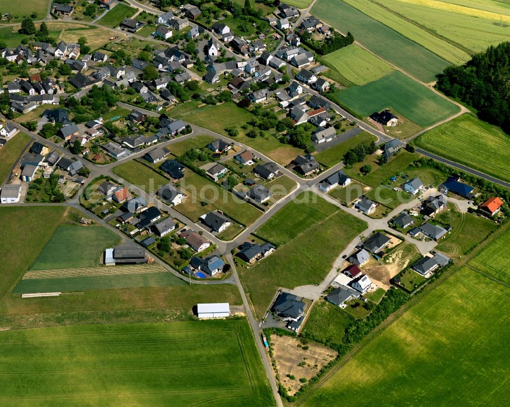 Aerial photograph Hauroth - View of Hauroth in the state of Rhineland-Palatinate. The borough and municipiality is located in the county district of Cochem-Zell in the High Eifel Region. Sonnenhof, Tannenhof and Wiesenhof are hamlets of Hauroth. It is surrounded by agricultural land, meadows and forest