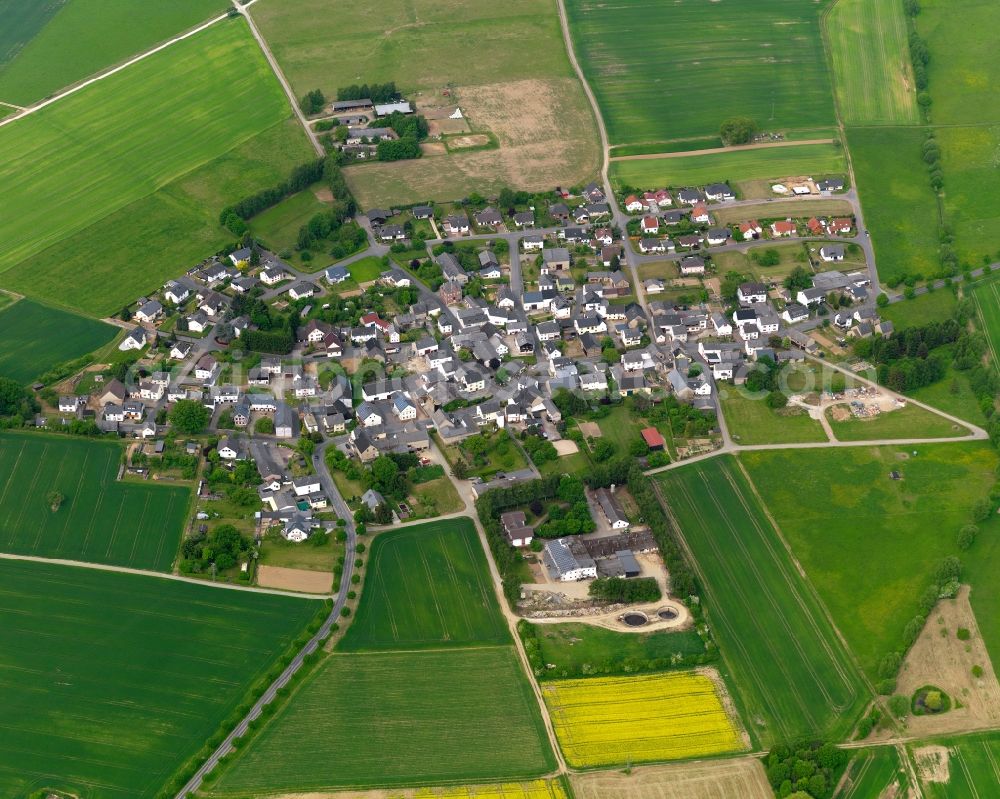 Himmighofen from the bird's eye view: View of the borough of Himmighofen in the state of Rhineland-Palatinate. The borough and municipiality is located in the county district of Rhine-Lahn, in the Taunus mountain region. The agricultural village consists of residential areas and is surrounded by rapeseed fields and meadows