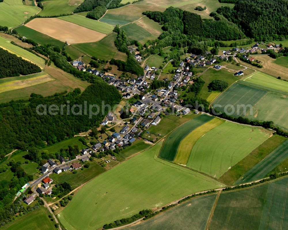 Kalenborn from the bird's eye view: View of Kalenborn in the state of Rhineland-Palatinate. The borough and municipiality is located in the county district of Cochem-Zell. It is surrounded by agricultural land, meadows and forest