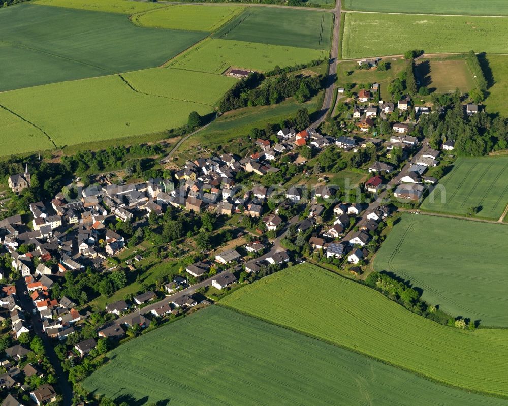 Kaltenholzhausen from the bird's eye view: View of the borough of Kaltenholzhausen in the state of Rhineland-Palatinate. The borough and municipiality is located in the county district of Rhine-Lahn. The agricultural village consists of residential buildings and areas and is surrounded by meadows and fields