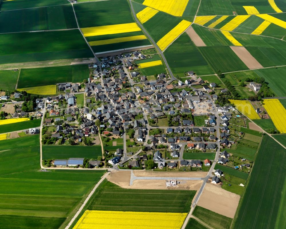 Kollig from the bird's eye view: View of Kollig on Maifeld in the state of Rhineland-Palatinate. The agricultural borough and municipiality is located in the county district of Mayen-Koblenz and surrounded by meadows and rapeseed fields