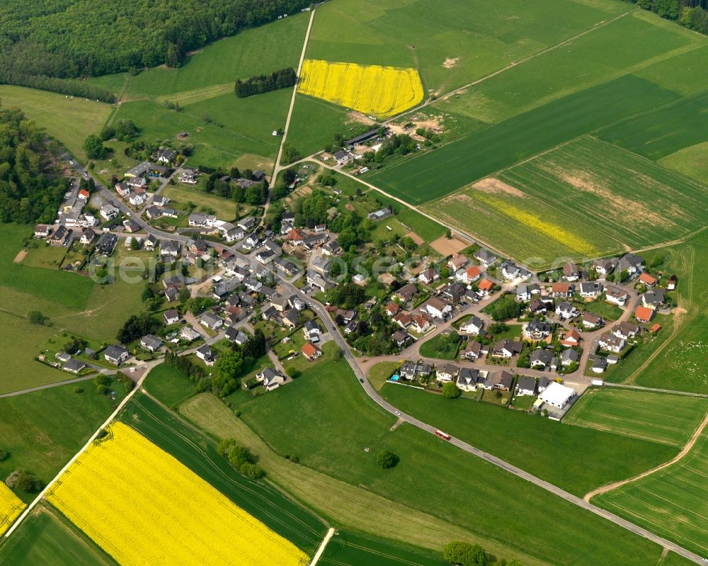 Aerial photograph Krümmel - View of the borough of Kruemmel in the state of Rhineland-Palatinate. The borough and municipiality is located in the county district of Westerwaldkreis. The agricultural village consists of residential areas and is surrounded by rapeseed fields and meadows