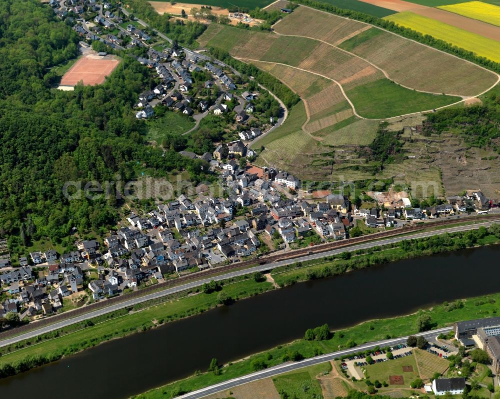 Lehmen from the bird's eye view: View of Lehmen in the state of Rhineland-Palatinate. The borough and municipiality is an official tourist resort and located in the county district of Mayen-Koblenz on the left riverbank of the river Moselle, surrounded by hills, forest and fields