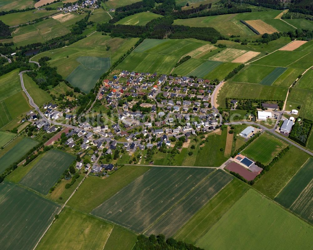 Aerial image Leiningen - View of the borough of Leiningen in the state of Rhineland-Palatinate. The borough and municipiality is located in the county district of Rhine-Hunsrueck, in the foothills of the Hunsrueck region. The agricultural village consists of residential areas and is surrounded by fields and meadows