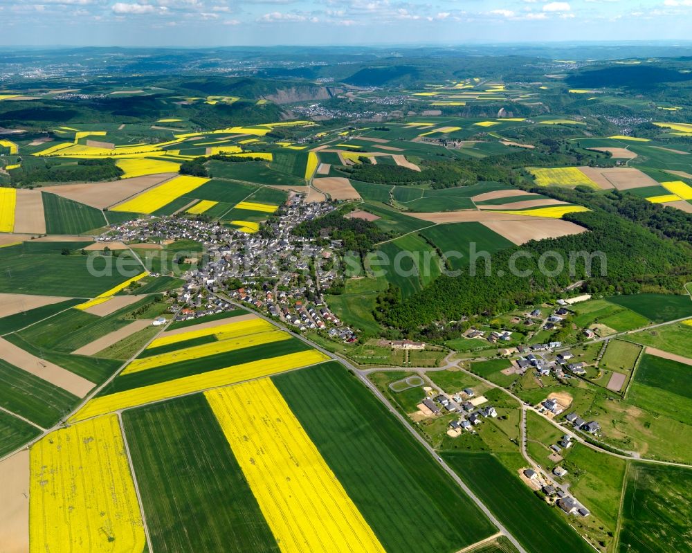 Lonnig from above - View of Lonnig in the state of Rhineland-Palatinate. The agricultural borough and municipiality is located in the county district of Mayen-Koblenz and surrounded meadows and rapeseed fields