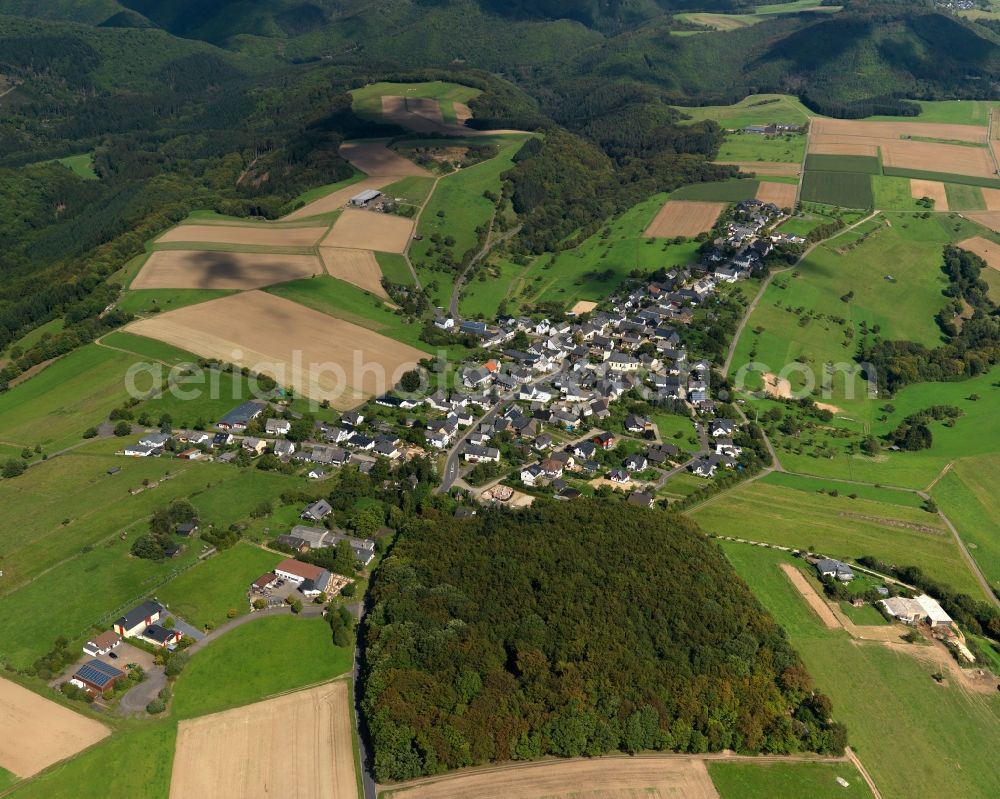 Macken from the bird's eye view: View of Macken in the state of Rhineland-Palatinate. The borough and municipiality of Macken is located in the county district of Mayen-Koblenz in the Moselle hills in the Hunsrueck region. Macken is surrounded by agricultural land and meadows. A large part of the municipial area is covered in woods and forest