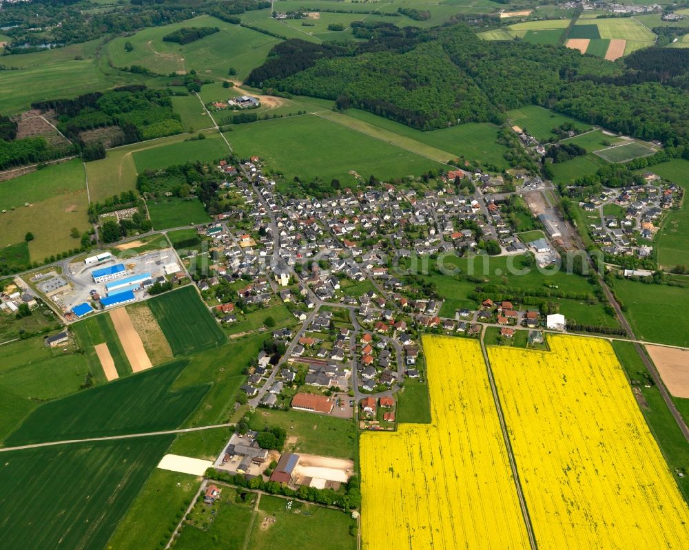 Aerial image Marienrachdorf - View of the borough of Marienrachdorf in the state of Rhineland-Palatinate. The borough and municipiality is located in the county district of Westerwaldkreis. The official tourist resort consists of residential areas and is surrounded by rapeseed fields and meadows