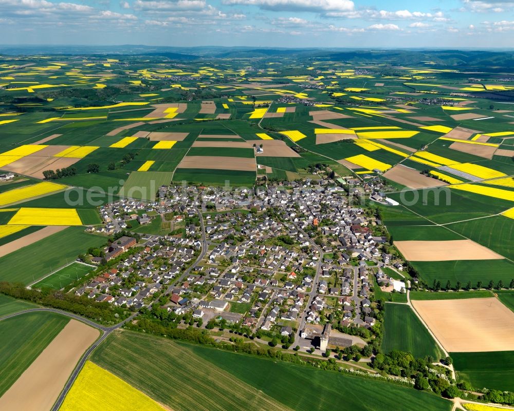 Aerial photograph Mertloch - View of Mertloch in the state of Rhineland-Palatinate. The agricultural borough and municipiality is located in the county district of Mayen-Koblenz and surrounded by meadows and rapeseed fields. Four hamlets belong to the borough area