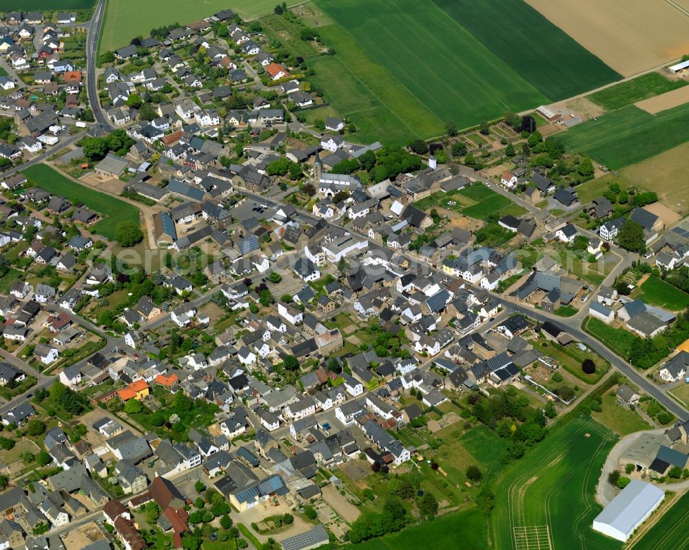 Mertloch from the bird's eye view: View of Mertloch in the state of Rhineland-Palatinate. The agricultural borough and municipiality is located in the county district of Mayen-Koblenz and surrounded by meadows and rapeseed fields. Four hamlets belong to the borough area