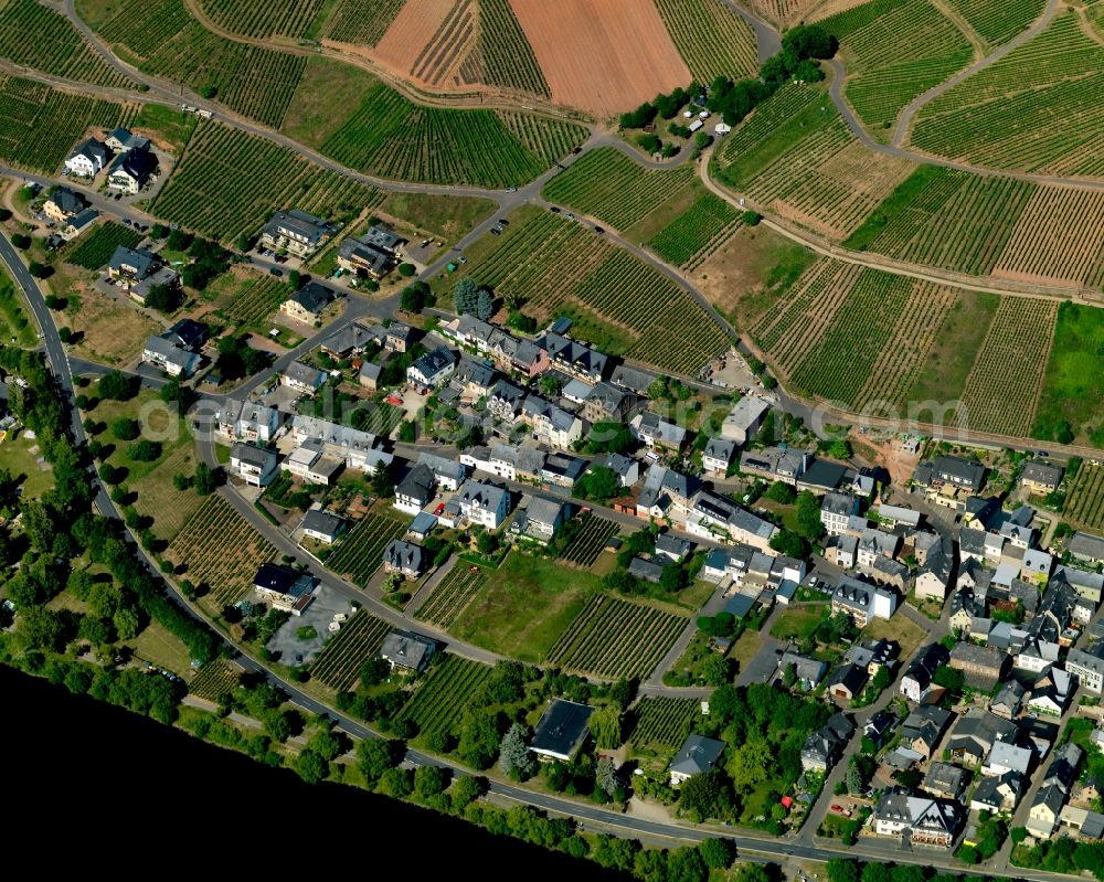 Mesenich from the bird's eye view: View of the borough and municipiality of Mesenich in the state of Rhineland-Palatinate. The official tourist resort and wine-growing town is part of the Cochem-Zell county district and is located on the right riverbank of the Moselle