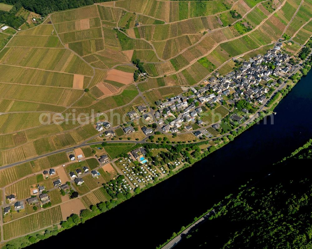 Aerial photograph Mesenich - View of the borough and municipiality of Mesenich in the state of Rhineland-Palatinate. The official tourist resort and wine-growing town is part of the Cochem-Zell county district and is located on the right riverbank of the Moselle