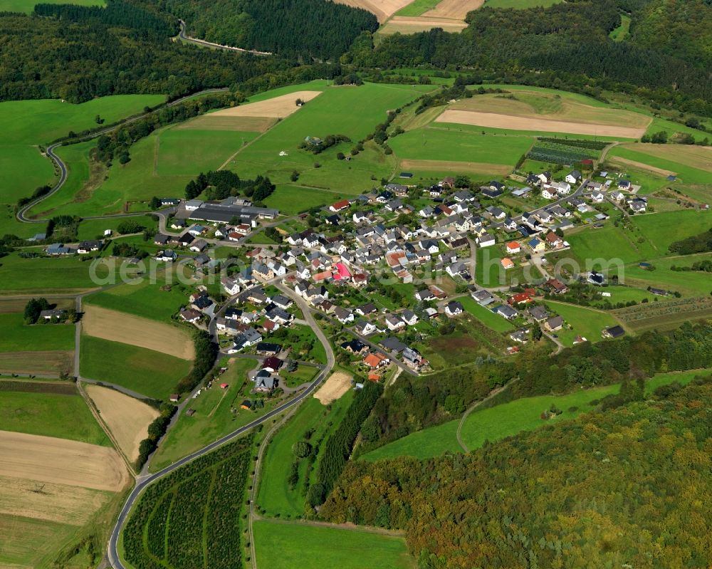 Aerial image Münk - View of Muenk in the state of Rhineland-Palatinate. The borough and municipiality of Muenk is located in the county district of Mayen-Koblenz in the Volcanic Eifel region. Muenk is surrounded by agricultural land and meadows and crossed by the creeks Mimbach and Eschbach. A large part of the municipial area is covered in woods and forest