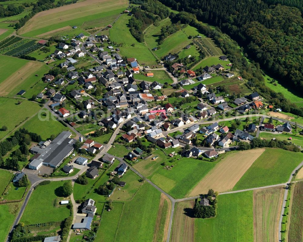 Münk from the bird's eye view: View of Muenk in the state of Rhineland-Palatinate. The borough and municipiality of Muenk is located in the county district of Mayen-Koblenz in the Volcanic Eifel region. Muenk is surrounded by agricultural land and meadows and crossed by the creeks Mimbach and Eschbach. A large part of the municipial area is covered in woods and forest