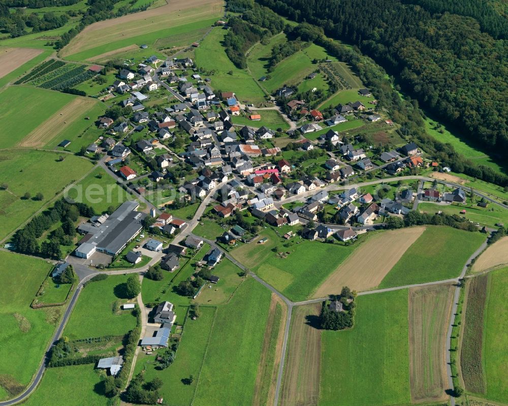 Aerial image Münk - View of Muenk in the state of Rhineland-Palatinate. The borough and municipiality of Muenk is located in the county district of Mayen-Koblenz in the Volcanic Eifel region. Muenk is surrounded by agricultural land and meadows and crossed by the creeks Mimbach and Eschbach. A large part of the municipial area is covered in woods and forest