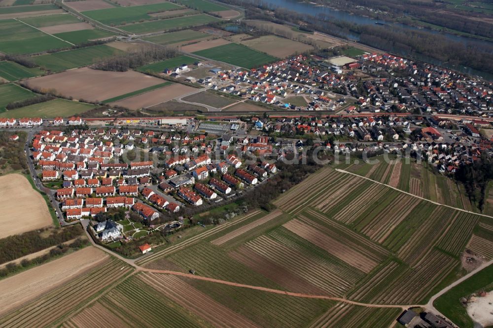 Aerial photograph Nackenheim - View of Nackenheim in the state of Rhineland-Palatinate. The borough and municipiality is located in the county district of Mainz-Bingen, on the left riverbank of the Rhine. The official tourist resort is an important wine-growing village in the Rhine Hesse region and surrounded by fields and vineyards