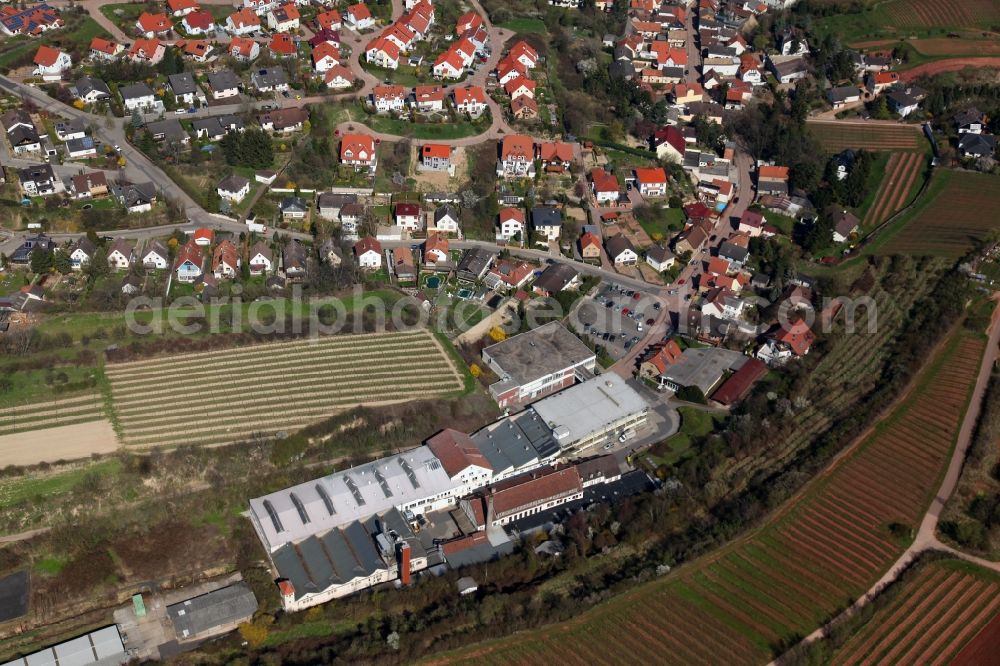 Aerial image Nackenheim - View of Nackenheim in the state of Rhineland-Palatinate. The borough and municipiality is located in the county district of Mainz-Bingen, on the left riverbank of the Rhine. The official tourist resort is an important wine-growing village in the Rhine Hesse region and surrounded by fields and vineyards