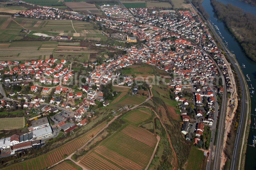 Aerial photograph Nackenheim - View of Nackenheim in the state of Rhineland-Palatinate. The borough and municipiality is located in the county district of Mainz-Bingen, on the left riverbank of the Rhine. The official tourist resort is an important wine-growing village in the Rhine Hesse region and surrounded by fields and vineyards