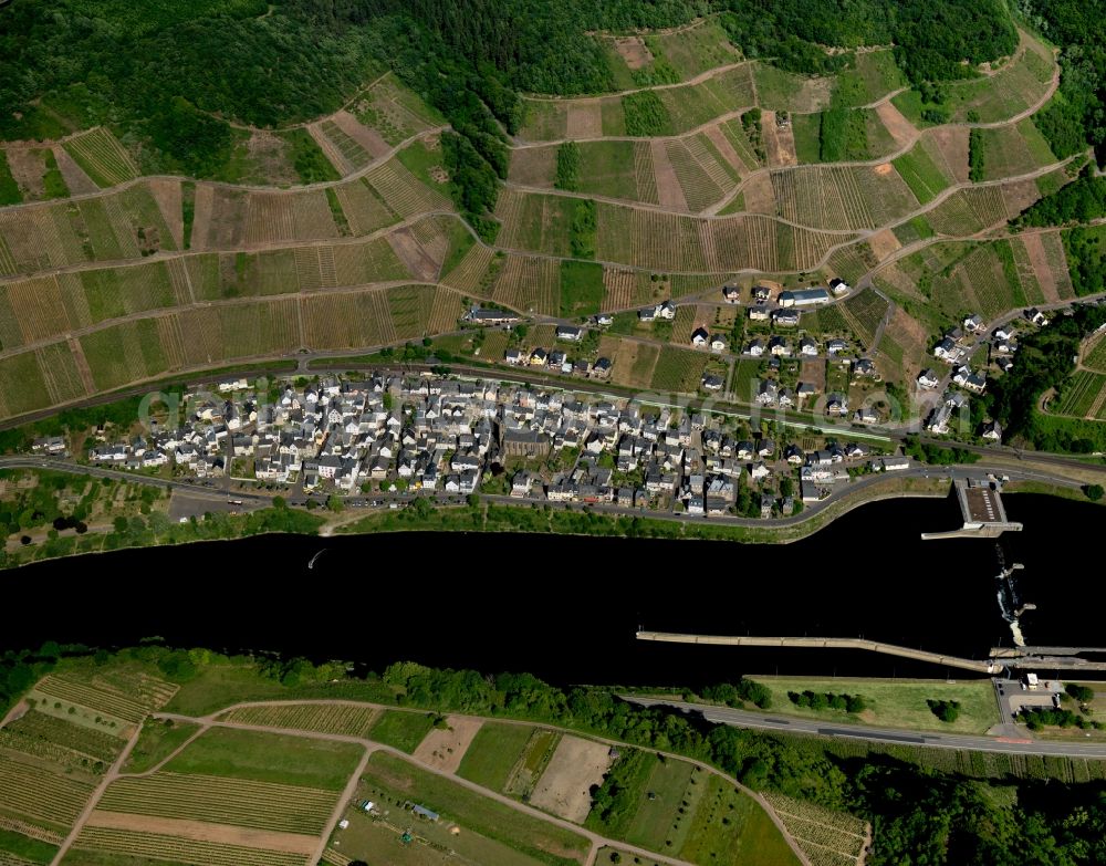 Neef from the bird's eye view: View of the borough and municipiality of Neef in the state of Rhineland-Palatinate. The official tourist resort and wine-growing town is part of the Cochem-Zell county district and is located on the right riverbank of the Moselle. Neef is located opposite Sankt Aldegund which is home to a barrage of the river