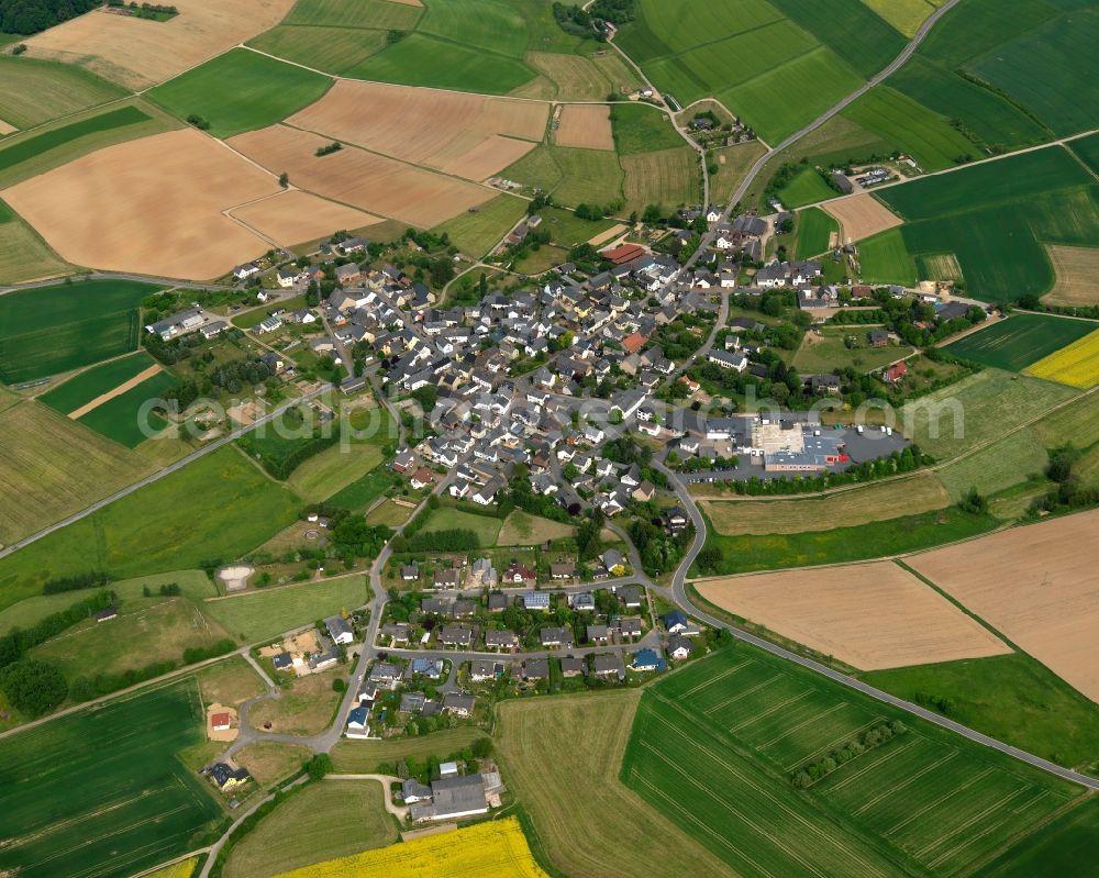 Aerial photograph Niederwallmenach - View of the borough of Niederwallmenach in the state of Rhineland-Palatinate. The borough and municipiality is located in the county district of Rhine-Lahn, in the Taunus mountain region. The agricultural village consists of residential areas and is surrounded by rapeseed fields and meadows