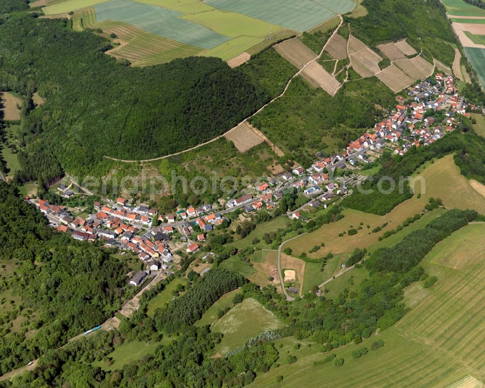 Aerial photograph Raumbach - View of the borough and municipiality of Raumbach in the state of Rhineland-Palatinate. The agricultural borough is located in the county district of Bad Kreuznach. Surrounded by fields, hills and forest, the village is located in the mountain range of Northern Palatinate