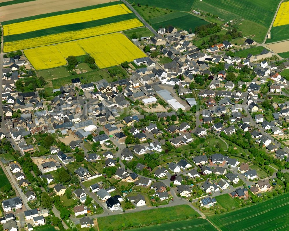 Aerial photograph Rüber - View of Rueber in the state of Rhineland-Palatinate. The agricultural borough and municipiality is located in the county district of Mayen-Koblenz and is surrounded by meadows and rapeseed fields