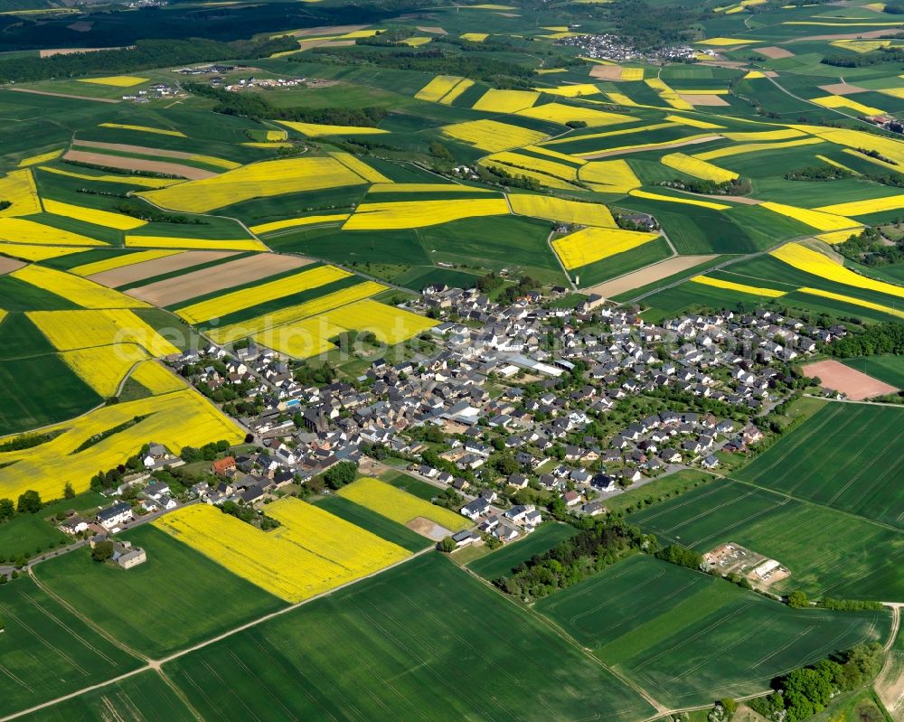 Rüber from the bird's eye view: View of Rueber in the state of Rhineland-Palatinate. The agricultural borough and municipiality is located in the county district of Mayen-Koblenz and is surrounded by meadows and rapeseed fields