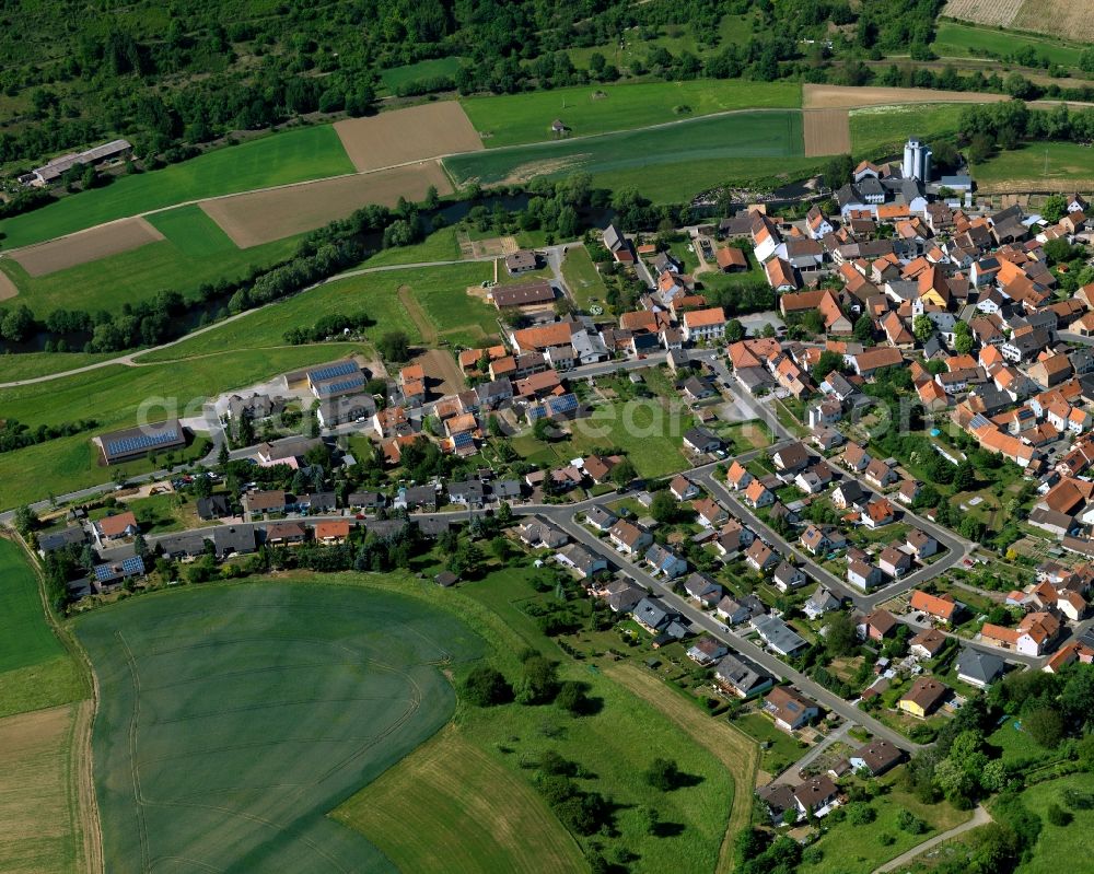 Rehborn from the bird's eye view: View of the borough and municipiality of Rehborn in the state of Rhineland-Palatinate. The agricultural borough is located in the county district of Bad Kreuznach. Surrounded by fields and forest, the village is located on the riverbank of the Glan river