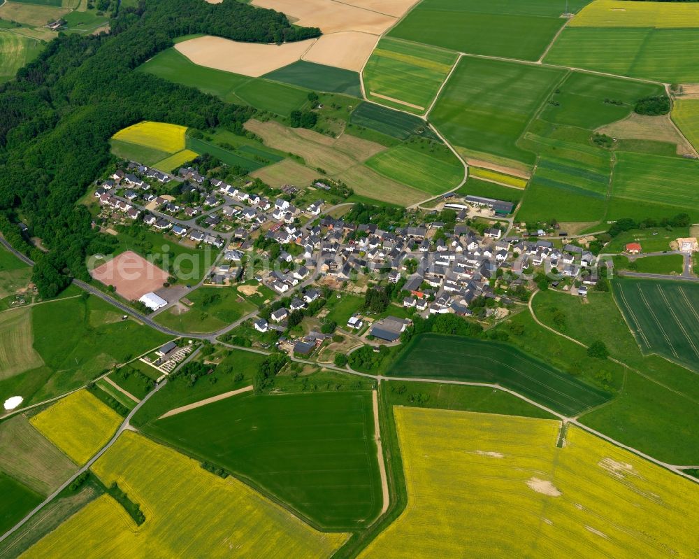 Aerial image Reitzenhain - View of the borough of Reitzenhain in the state of Rhineland-Palatinate. The borough and municipiality is located in the county district of Rhine-Lahn, in the Taunus mountain region. The agricultural village consists of residential areas and is surrounded by rapeseed fields and meadows