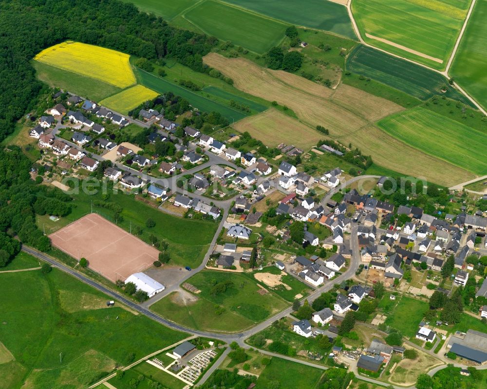 Aerial photograph Reitzenhain - View of the borough of Reitzenhain in the state of Rhineland-Palatinate. The borough and municipiality is located in the county district of Rhine-Lahn, in the Taunus mountain region. The agricultural village consists of residential areas and is surrounded by rapeseed fields and meadows