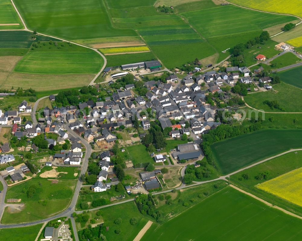 Reitzenhain from above - View of the borough of Reitzenhain in the state of Rhineland-Palatinate. The borough and municipiality is located in the county district of Rhine-Lahn, in the Taunus mountain region. The agricultural village consists of residential areas and is surrounded by rapeseed fields and meadows