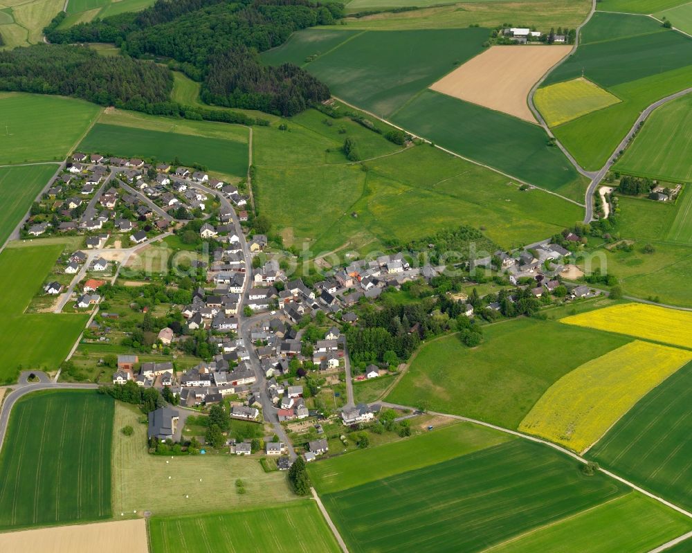 Aerial photograph Rettershain - View of the borough of Rettershain in the state of Rhineland-Palatinate. The borough and municipiality is located in the county district of Rhine-Lahn, in the Taunus mountain region. The agricultural village consists of residential areas and is surrounded by rapeseed fields and meadows