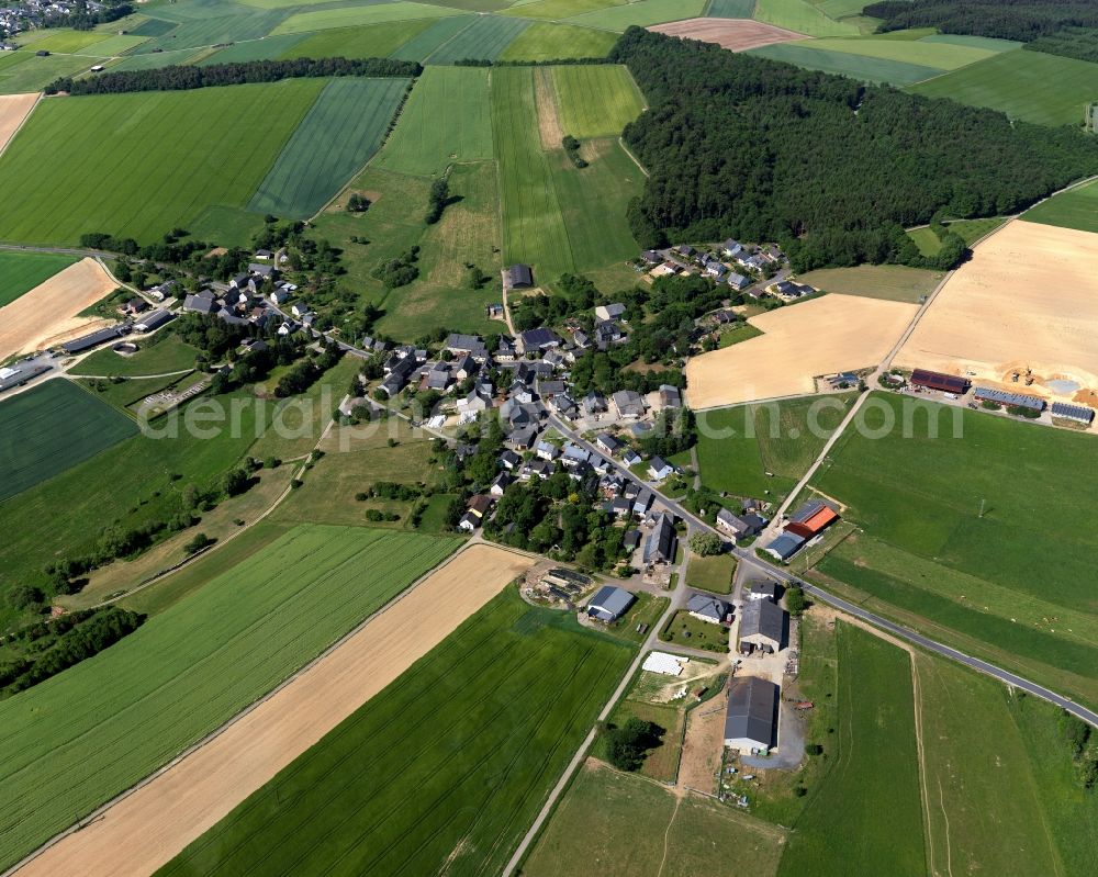 Aerial photograph Rohrbach - View of Rohrbach in the state of Rhineland-Palatinate. Rohrbach is located in the county district of Rhine-Hunsrueck. The borough and municipiality consists of residential areas and agricultural land