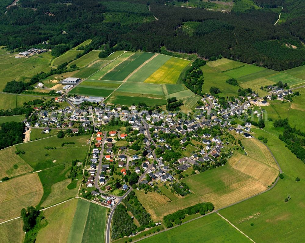 Aerial photograph Schauren - View of Schauren in the state of Rhineland-Palatinate. The borough and municipiality is located in the county district of Birkenfeld, at Idar Forest in the Hunsrueck region. It is surrounded by agricultural land, meadows and forest. The hamlets Aschieder Mill and Schaurener Mill belong to the borough