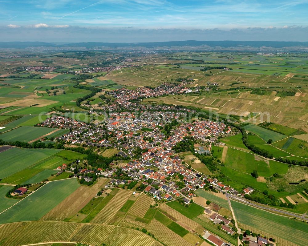 Stadecken-Elsheim from the bird's eye view: View of the borough of Stadecken-Elsheim in the state of Rhineland-Palatinate. The borough is located in the county district of Mainz-Bingen. The residential village is surrounded by fields, vineyards and meadows