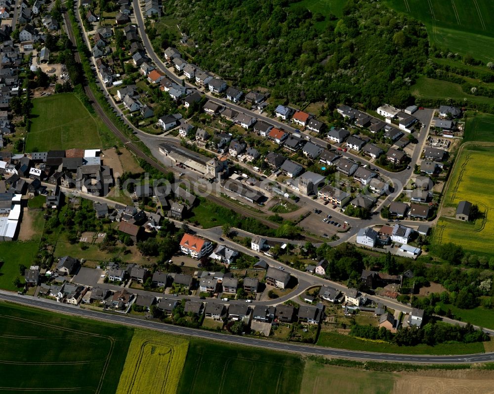 Thür from the bird's eye view: View of Thuer in the state of Rhineland-Palatinate. The agricultural borough and municipiality is located in the county district of Mayen-Koblenz and surrounded by meadows and rapeseed fields. The boroughs of Regniarisbrunnen and Fraukirch belong to Thuer as well