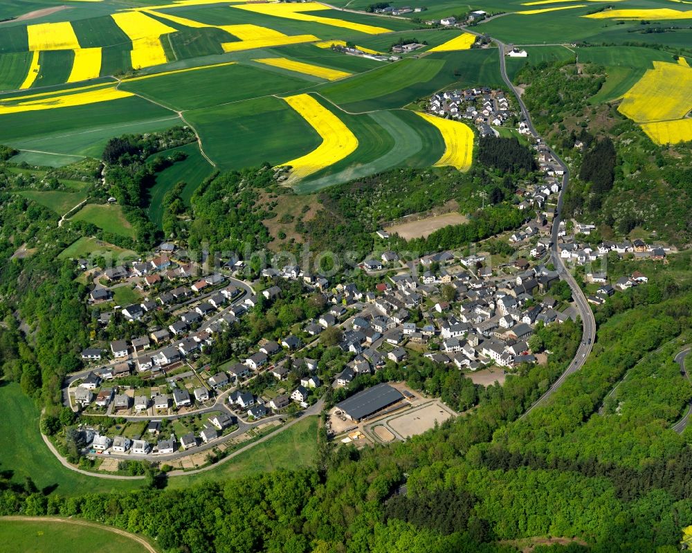 Aerial image Trimbs - View of Trimbs in the state of Rhineland-Palatinate. The agricultural borough and municipiality is located in the county district of Mayen-Koblenz, above the Valley of the river Nette and on the road L113, and is surrounded by meadows and rapeseed fields