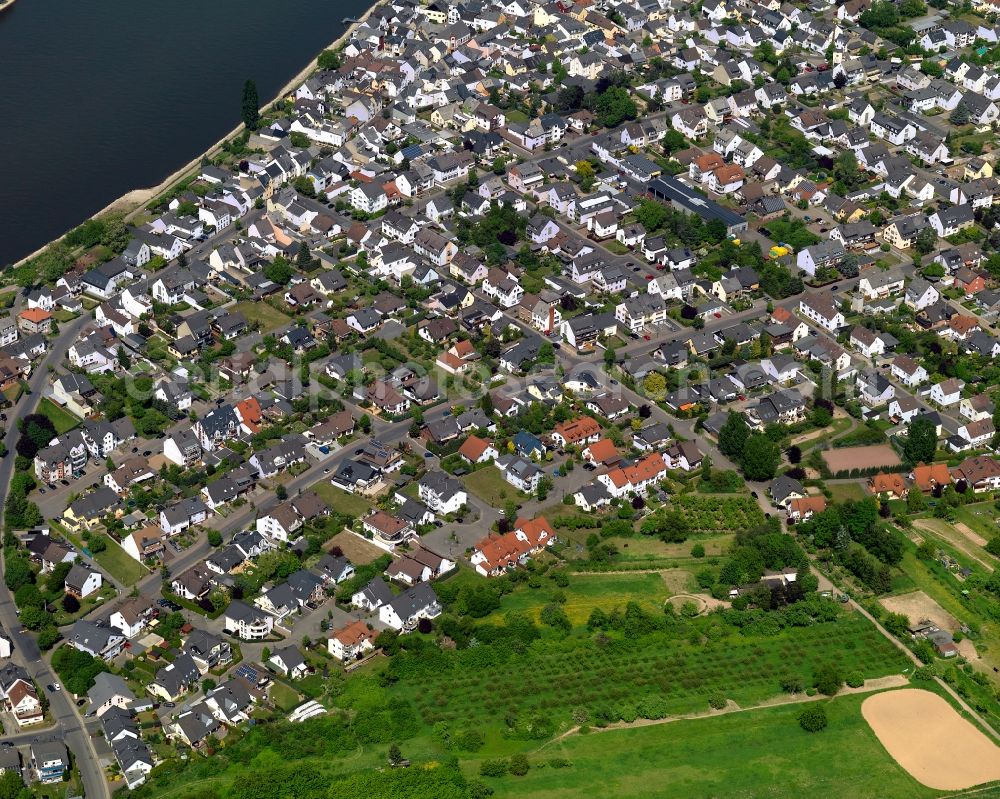 Aerial image Urmitz - View of Urmitz in the state of Rhineland-Palatinate. The borough and municipiality is located in the county district of Mayen-Koblenz on the Western riverbank of the Rhine. It belongs to the Rhine villages and consists of several single family houses and residential areas