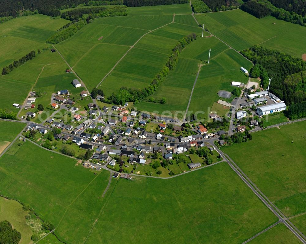 Waigandshain from the bird's eye view: View of the borough of Waigandshain in the state of Rhineland-Palatinate. The borough is located in the county district and region of Westerwald. The residential village is surrounded by fields and meadows