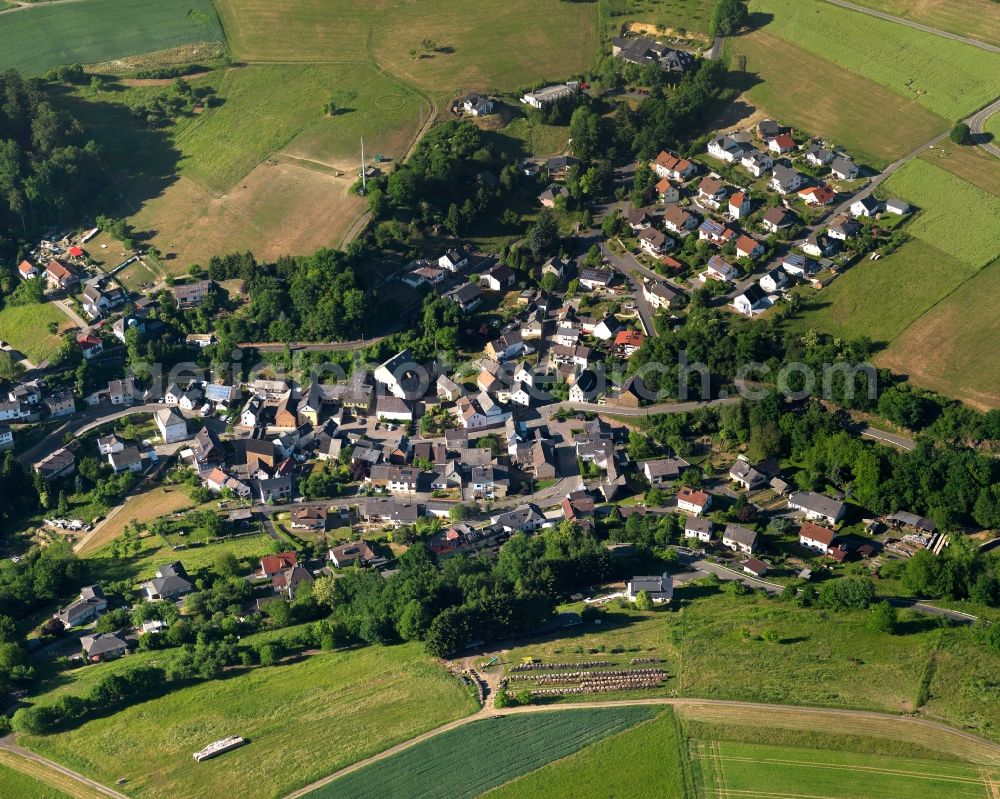 Aerial photograph Wasenbach - View of the borough of Wasenbach in the state of Rhineland-Palatinate. The borough and municipiality is located in the county district of Rhine-Lahn. The village consists of residential buiildings and areas, sits in a valley of the Taunus mountain range and is surrounded by forest and fields