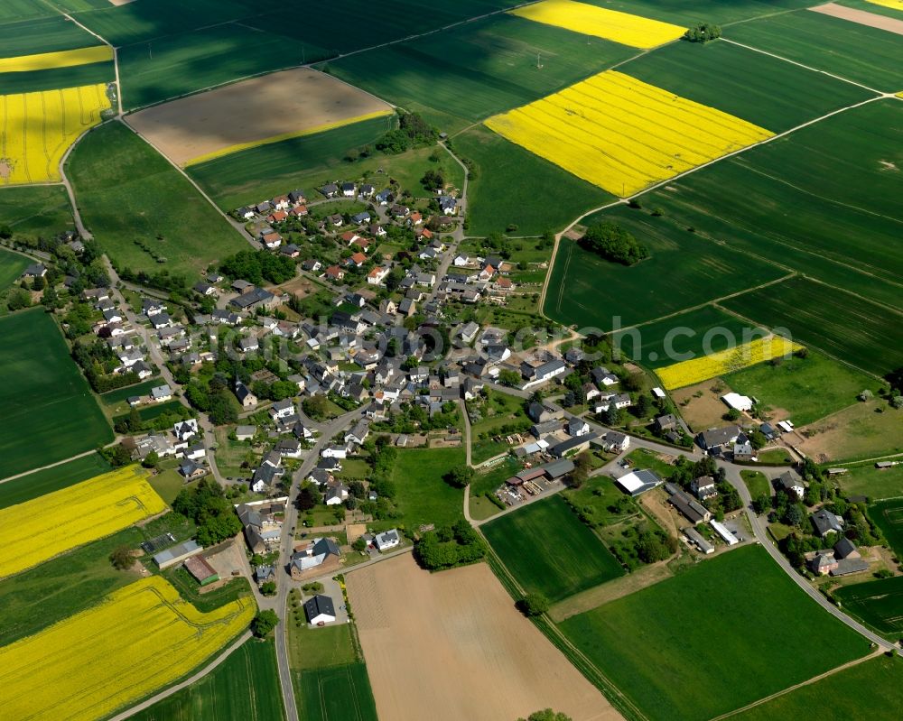 Wierschem from above - View of Wierschem in the state of Rhineland-Palatinate. The agricultural borough and municipiality is located in the county district of Mayen-Koblenz and surrounded by meadows and rapeseed fields. Wierschem is located in the area of the Niedermaifeld Terraces, on the edge of the Elzbach valley