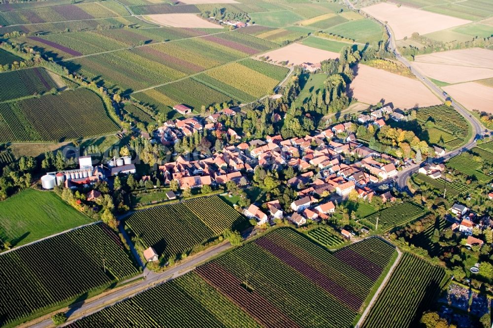 Billigheim-Ingenheim from above - Town View of the streets and houses of the residential areas in the district Appenhofen in Billigheim-Ingenheim in the state Rhineland-Palatinate