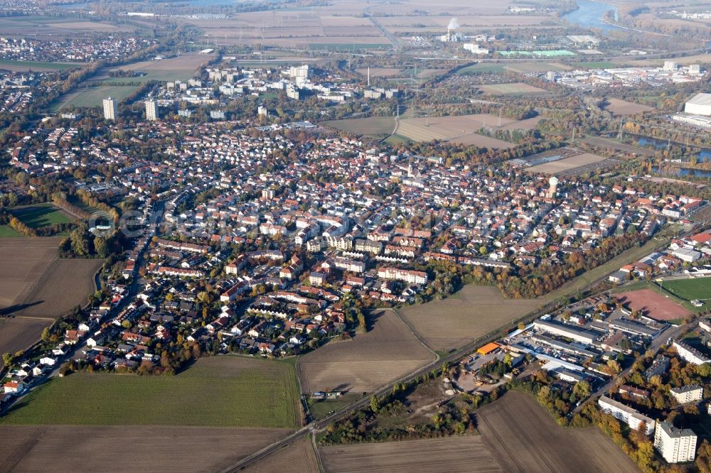 Ludwigshafen am Rhein from above - Town View of the streets and houses of the residential areas in the district Edigheim in Ludwigshafen am Rhein in the state Rhineland-Palatinate