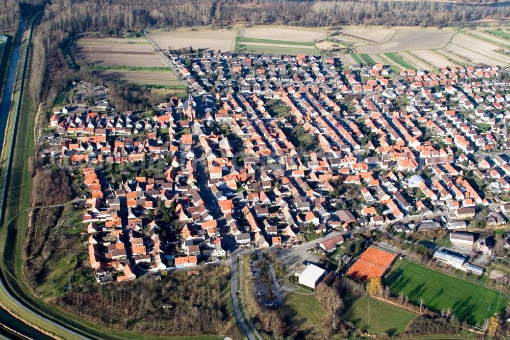 Dettenheim from the bird's eye view: Town View of the streets and houses of the residential areas in the district Liedolsheim in Dettenheim in the state Baden-Wuerttemberg