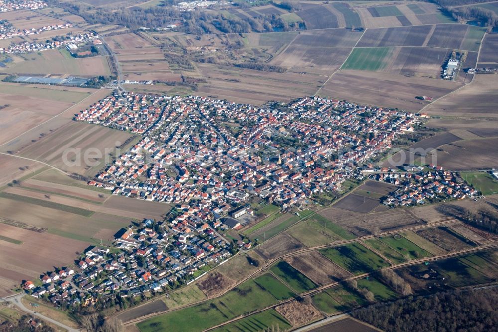 Römerberg from the bird's eye view: Town View of the streets and houses of the residential areas in the district Mechtersheim in Roemerberg in the state Rhineland-Palatinate, Germany